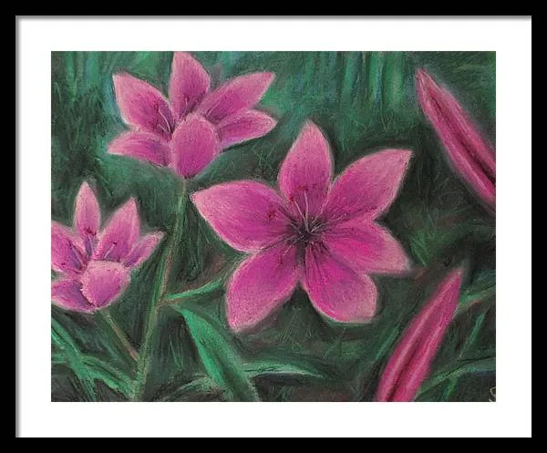Pink Lilies - Framed Print