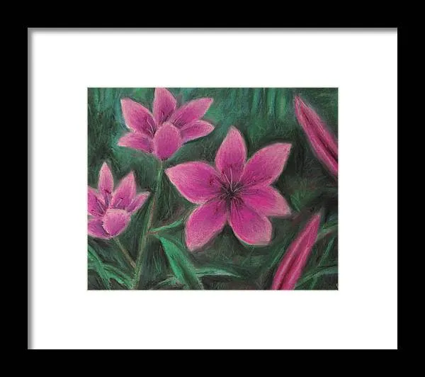 Pink Lilies - Framed Print