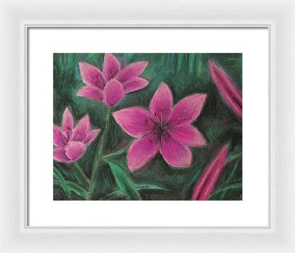 Pink Lilies - Framed Print
