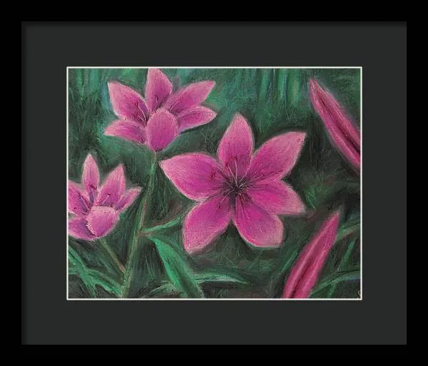 Pink Lilies - Framed Print