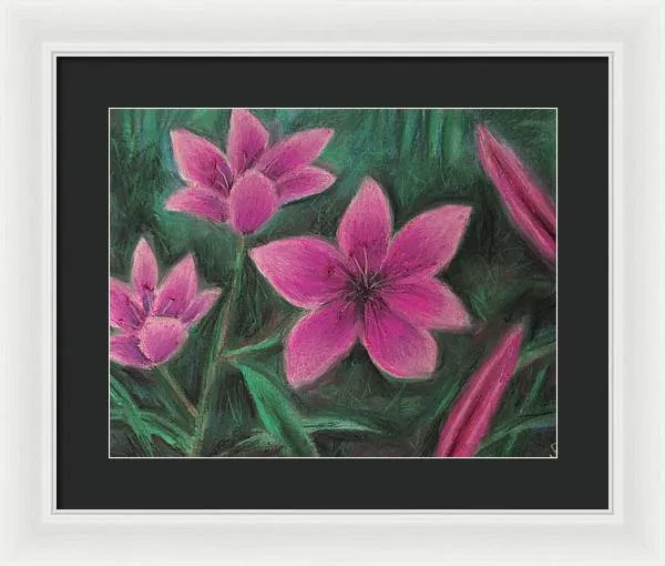 Pink Lilies - Framed Print