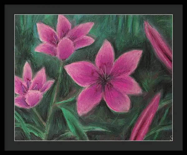 Pink Lilies - Framed Print