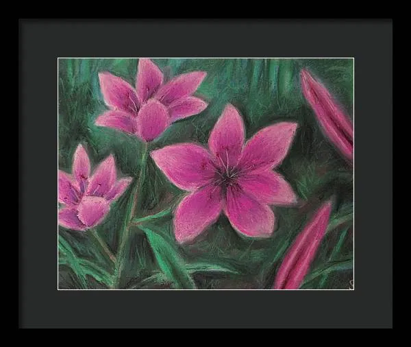 Pink Lilies - Framed Print