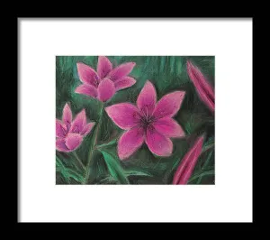 Pink Lilies - Framed Print