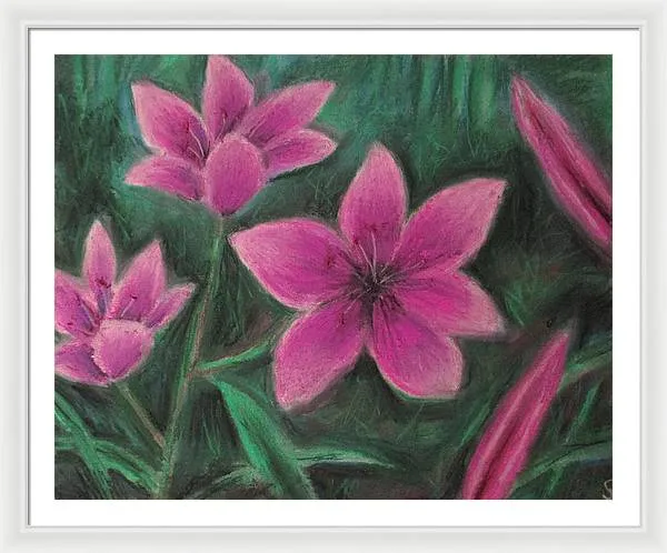 Pink Lilies - Framed Print