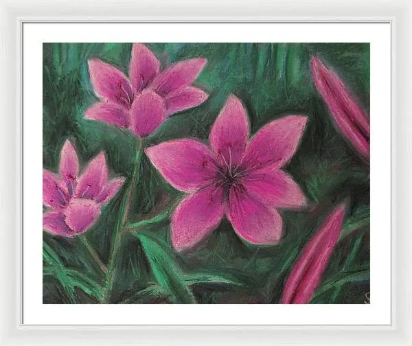 Pink Lilies - Framed Print