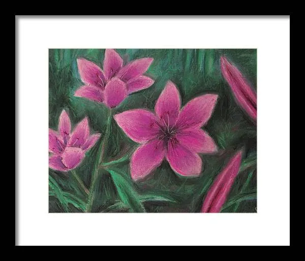 Pink Lilies - Framed Print