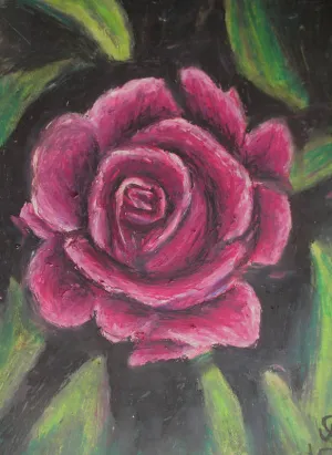 Rosy Pink ~ Art Print