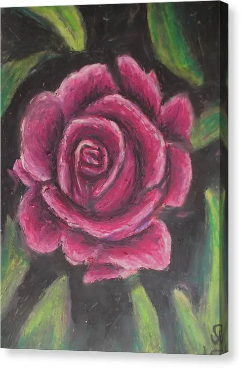 Rosy Pink ~ Canvas Print