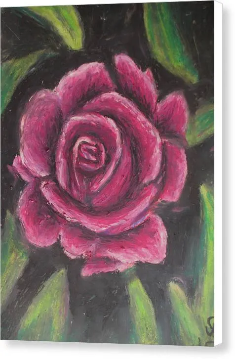 Rosy Pink ~ Canvas Print