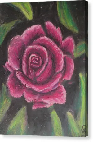 Rosy Pink ~ Canvas Print