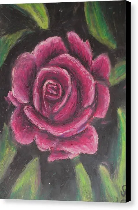 Rosy Pink ~ Canvas Print