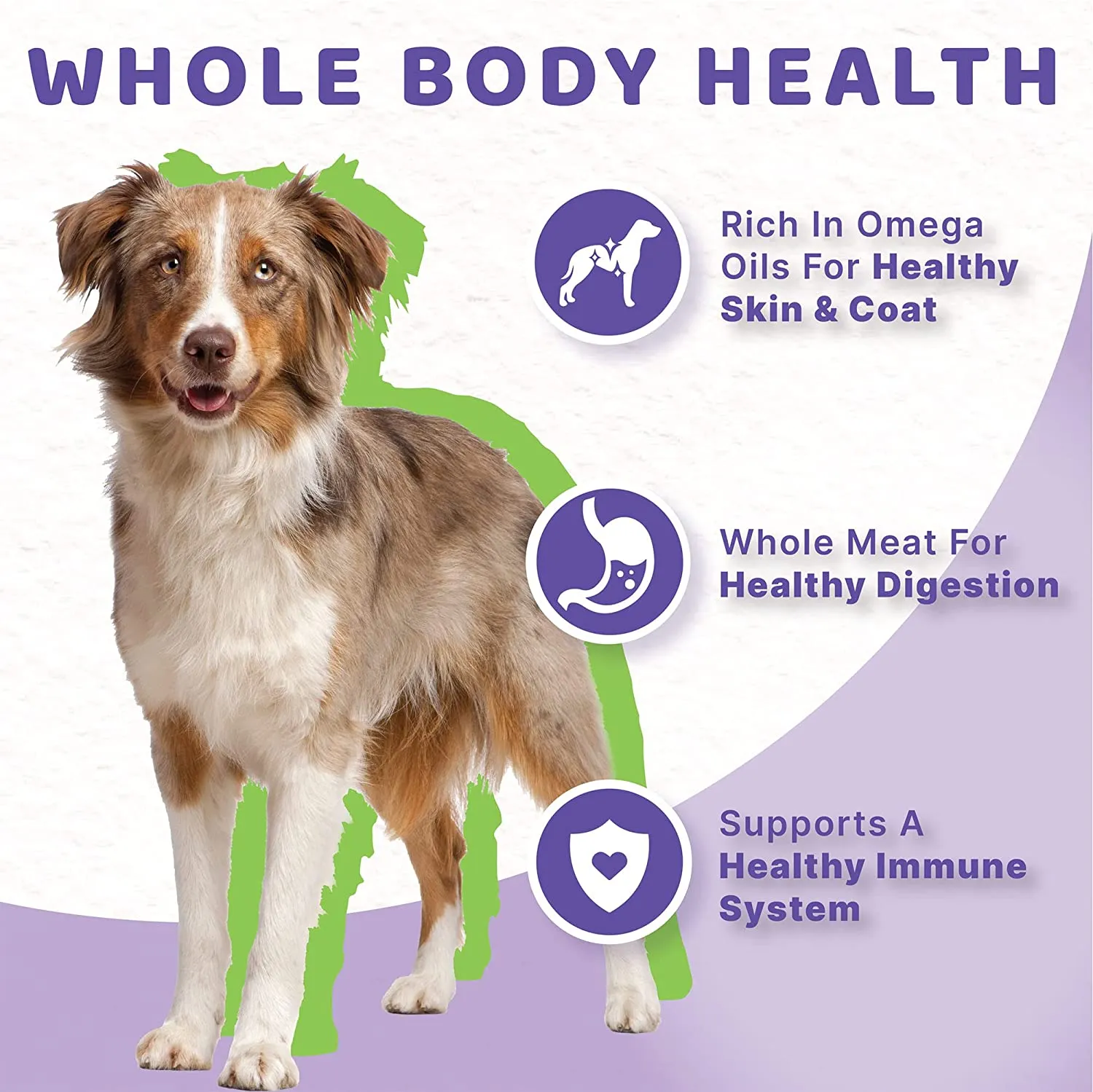 Vegan Plant-Based Recipe Adult Wet Dog Food, 5.5 oz can (case of 12)