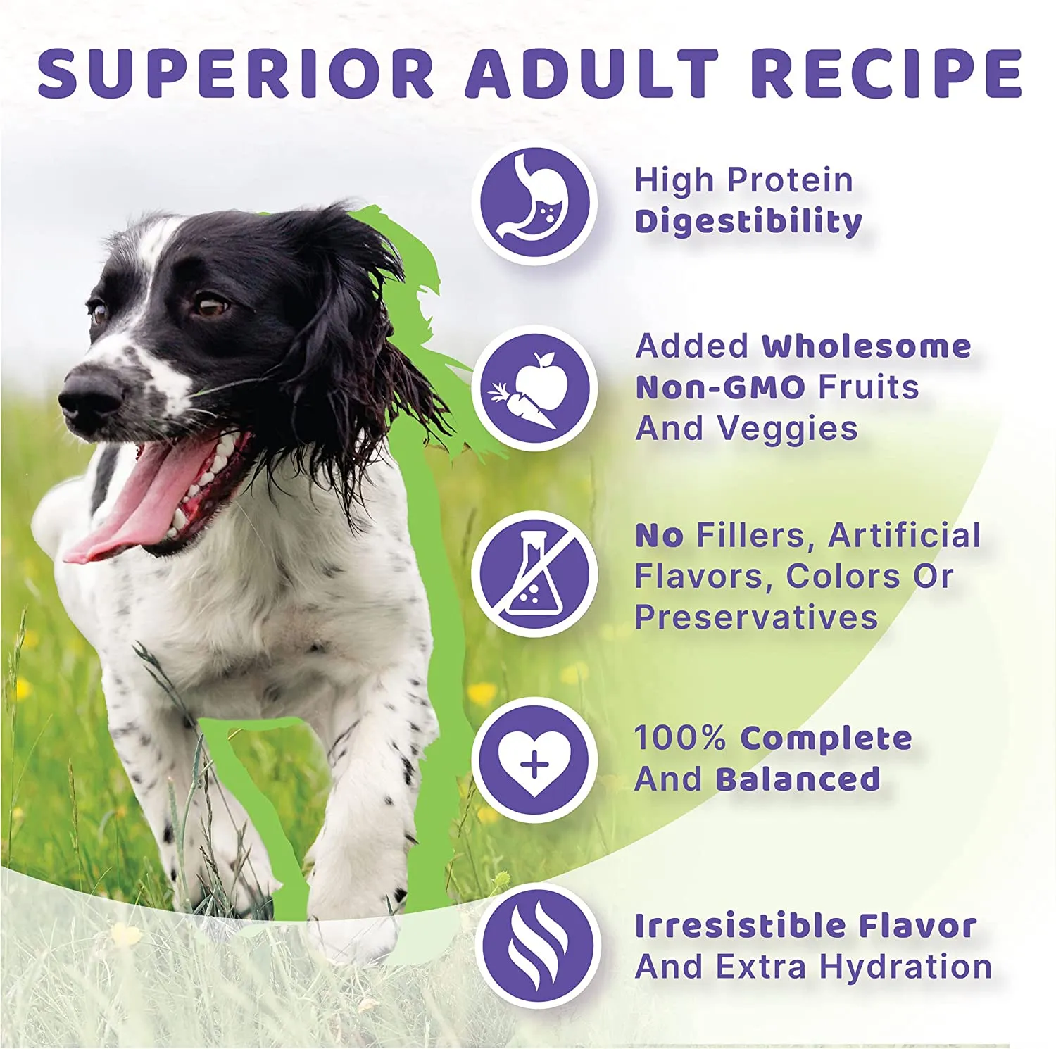 Vegan Plant-Based Recipe Adult Wet Dog Food, 5.5 oz can (case of 12)
